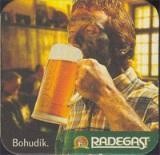 /album/nosovice/radegast14a-jpg/