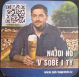 /album/prerov/zubr-6b-jpg/